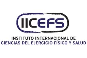 IICEFS